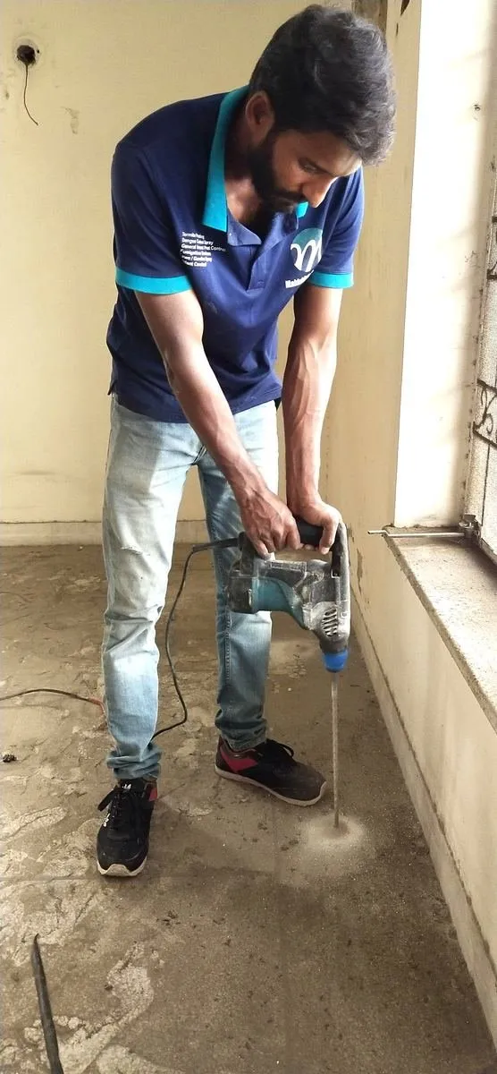 Termite control treatment in Lahore
