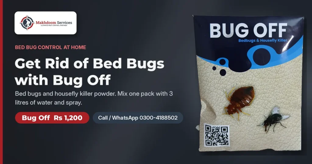 Bug Off bed bug and housefly killer pack, Rs 1,200, for getting rid of bed bugs at home - Makhdoom Services